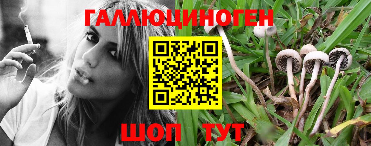 Псилоцибиновые грибы Magic Shrooms  Вход с VPN  Кимры 